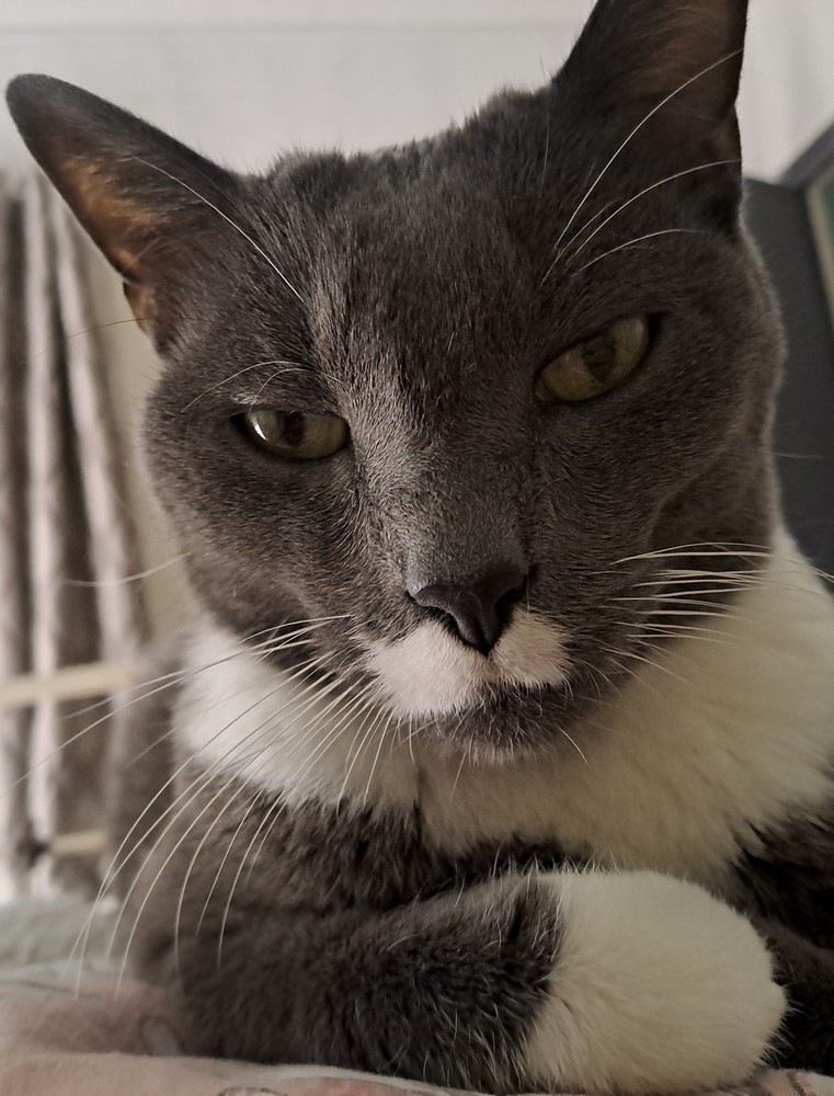 Blog lifestyle casual et authentique: Biscuit en guest star